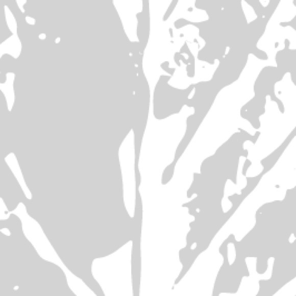 Meet your Posher, Leigh - Picture 1 of 1